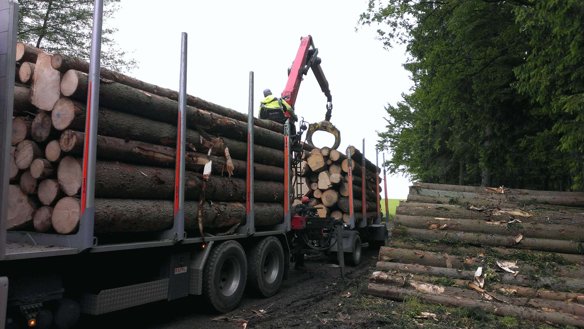 Holzvermarktung